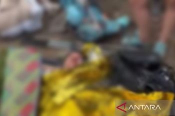 Wisatawan asal Swiss dilaporkan terjatuh di Rinjani