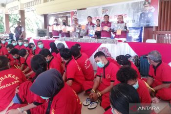 Polda NTB bongkar 32 kasus narkoba, Ganja dan sabu disita dalam jumlah fantastis
