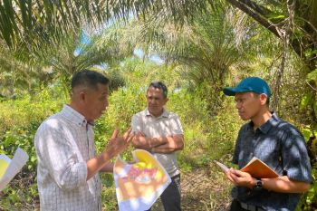 REA berdayakan 600 petani Kaltim untuk sertifikasi RSPO