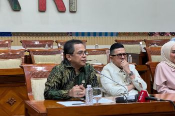 Sekjen DPR menjelaskan situs DPR kerap down sehingga draf sulit diakses publik