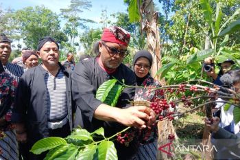 Bupati  Temanggung minta petani jaga kualitas dengan petik kopi merah