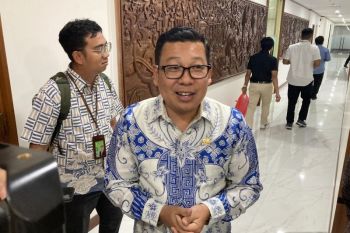Mentan: Patahan beras menjadi cara untuk membedakan beras oplosan dan premium