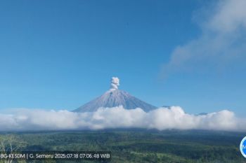 Gunung Semeru lima kali erupsi dengan tinggi letusan 700 meter