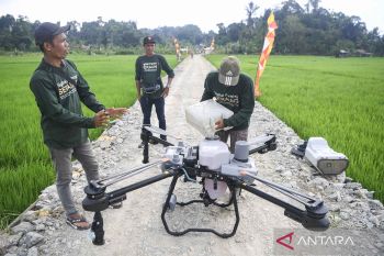 Brazil keen to invest in East Sumba cattle farms: minister