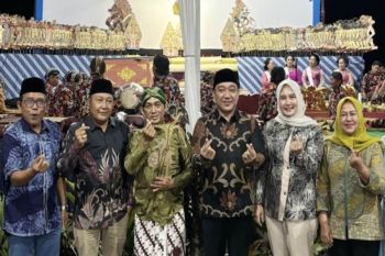 Wabub Lamsel sebut wayang kulit sebagai sarana pendidikan budaya generasi muda
