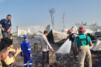 Kebakaran hanguskan belasan ribu ayam di Blora