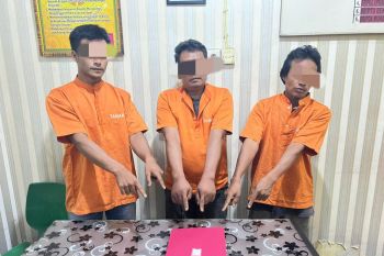 Tiga pelaku narkotika warga Penyasawan Kecamatan Kampar ditangkap