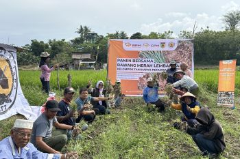 CPM targetkan 10 ton bawang merah dari program CSR di Tanamodindi