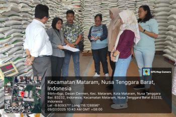 Bantuan beras CPP sebanyak 623,34 ton siap didistribusikan di Mataram
