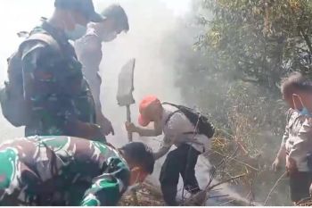 30 hektar lahan di Tanah Datar terbakar selama musim kemarau