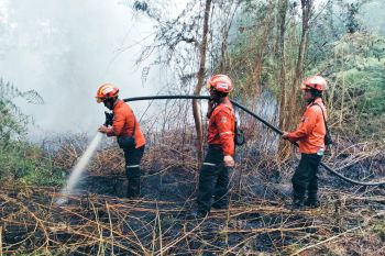 Terdeteksi 586 titik panas di Riau dan 1.208 di Sumatera