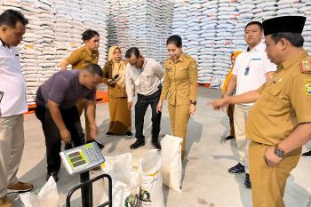 Pemkot Bandarlampung cek kualitas beras bansos dari Bapanas