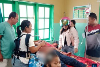 Seorang nenek 62 tahun diserang buaya saat ambil wudhu