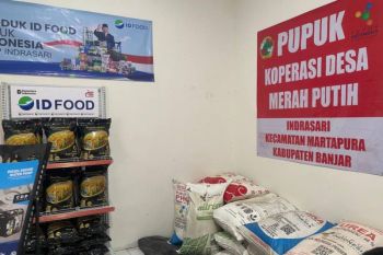 Kalsel: Koperasi Merah Putih bagian gerakan nasional ketahanan pangan