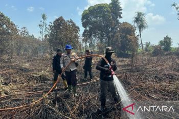 Karhutla di Meranti terkendali, tim gabungan masih berjuang lakukan pendinginan