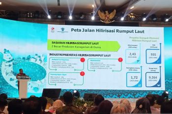Pemkab Pinrang kembangkan potensi eksport rumput laut