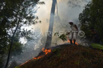 Karhutla di Solok
