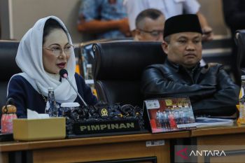 Legislator: Pengawasan imigrasi di perbatasan perlu perhatian serius