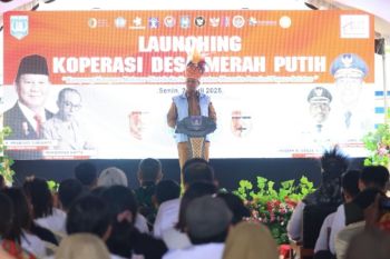 Pemprov Papua Selatan terus berupaya kembangkan tiga sektor pertanian