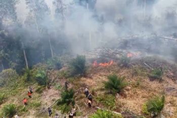 Cegah asap lintasi batas negara, pemerintah intensifkan penanganan Karhutla