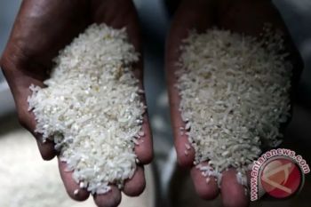 Disperindag memastikan belum ada temuan beras oplosan di DIY