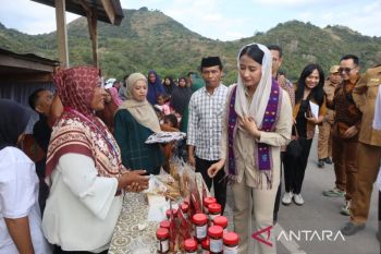 Wamendag: Produk perikanan dan UMKM Labuan Bajo bisa diekspor