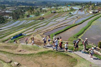 Jumlah kunjungan wisatawan mancanegara ke Indonesia