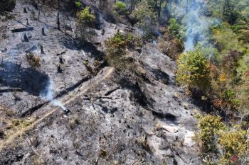 BPBD Sumbar: Dua kabupaten tetapkan status tanggap darurat karhutla