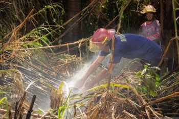 Sumbar perpanjang minta bantuan Manggala Agni Jambi padamkan karhutla