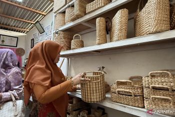 Dekranasda Aceh Barat bina kerajinan tangan daerah tingkatkan UMKM