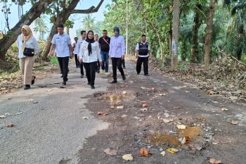 Wali Kota Bandarlampung minta perusahaan berkontribusi benahi jalan