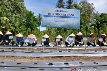 Kolaborasi BNNP dan BI Aceh ajak warga beralih tanam ganja ke cabai