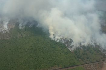 Buang puntung rokok sembarangan hingga sebabkan karhutla, pria di Rohil ditangkap polisi