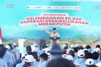 PLN dukung penuh integrasi layanan kelistrikan ke Koperasi Desa Merah Putih, tingkatkan pertumbuhan ekonomi lokal