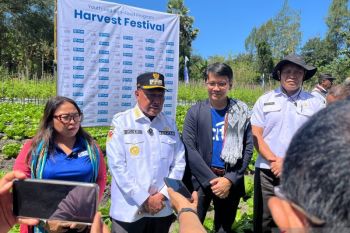 Pemkab TTS nilai panen holtikultura hasil petani muda binaan Plan bisa mendukung MBG