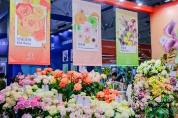 Kunming to Host the 23rd Kunming International Flower Expo, Showcasing Global Floriculture Innovations