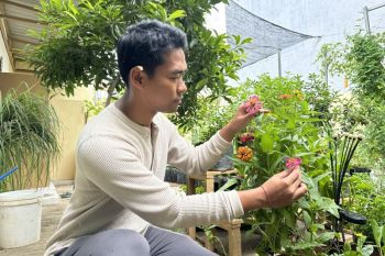 Infarm.id mengubah berkebun jadi hobi baru generasi milenial