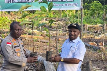 Pemkab Jayapura menetapkan Grimenawa sentra pertanian daerah