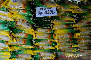 Bulog Riau kirim beras 15 ton ke Meranti atasi kelangkaan