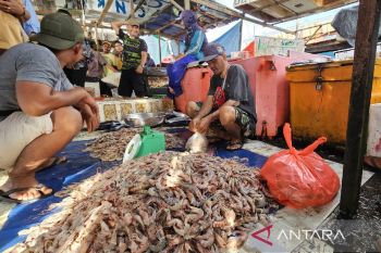 DKP Papua sebut realisasi PAD hingga 2025 mencapai Rp293 juta