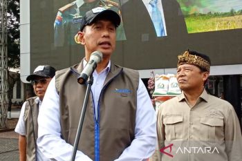 Bulog sebut stok beras terus bertambah usai catat rekor 4,2 juta ton
