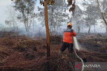 Tim gabungan Kalbar memadamkan karhutla di Rasau Jaya Kubu Raya