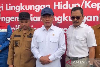 Menteri LH minta hentikan pembakaran tandan kosong sawit di Riau