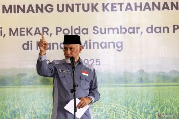 Sumbar targetkan tanam 1.000 ha jagung Agustus untuk ketahanan pangan