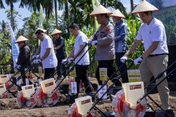 Mekar Tani Agrifin-Polda garap lahan tidur untuk ketahanan pangan