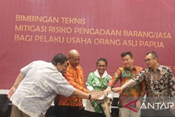 Pemprov Papua beri bimtek pengusaha OAP mitigasi risiko pengadaan barang jasa