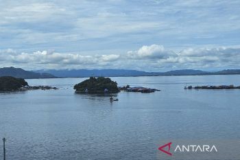 DKP Papua fokus pengembangan ekonomi biru pada Renstra 2025-2029