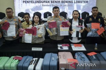 Ungkap kasus penyelundupan benih bening lobster
