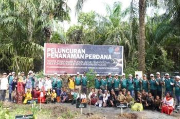 Kotabaru DLH, Minamas Plantation plant trees to reduce emissions