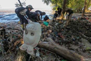 Aksi bersih hutan mangrove dari sampah